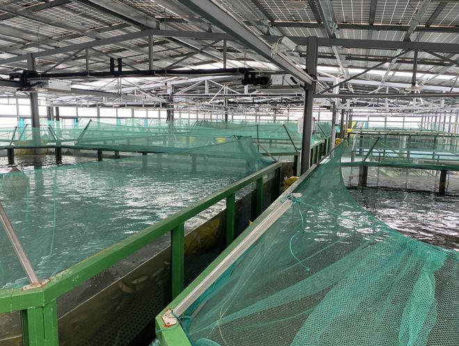 浙江首批“未來農(nóng)場(chǎng)”公布 十大休閑觀光新地標(biāo)，體驗(yàn)未來農(nóng)業(yè)新魅力