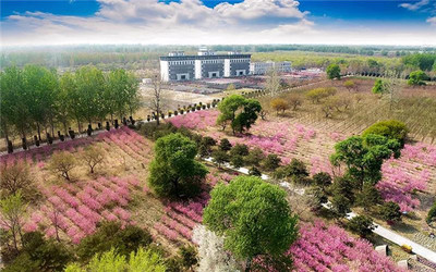 萬桐園中標(biāo)回遷公墓項(xiàng)目,擬出資2370萬元