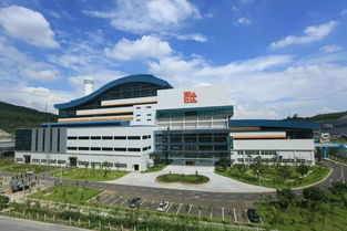 一把手談品牌 實(shí)力 責(zé)任 綠色 看深圳能源如何擦亮國企品牌